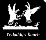 Yodaddys Ranch